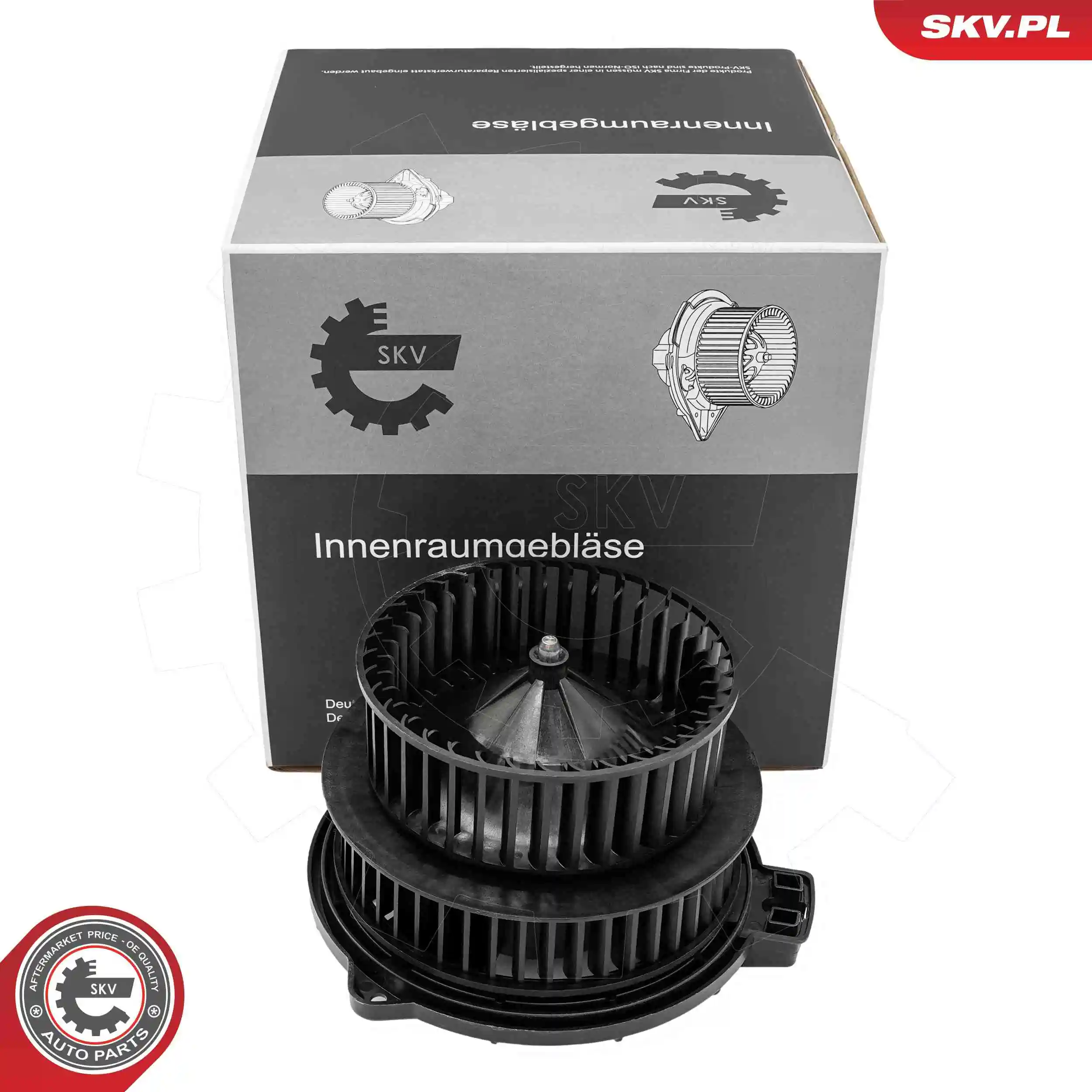 Interior Blower